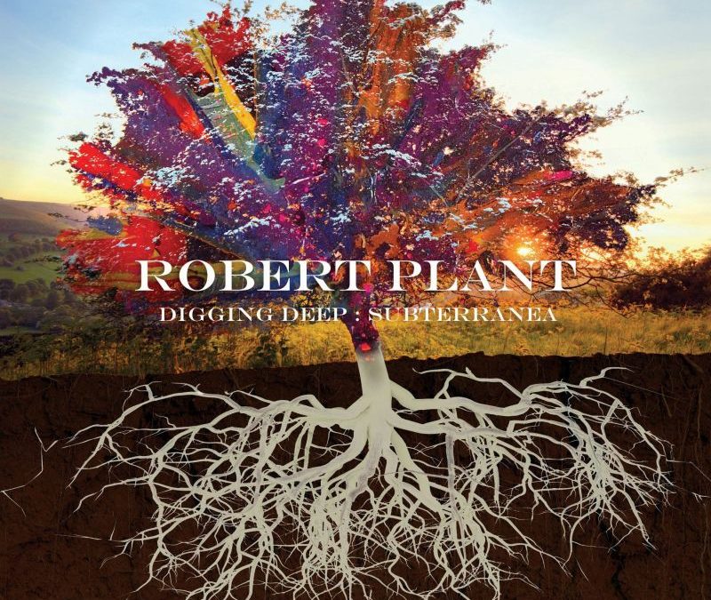 Robert Plant: Digging Deep: Subterranea