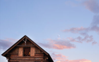 Neil Young & Crazy Horse: Barn