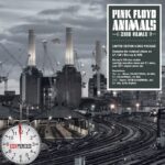 Egypercesek - Pink Floyd - Animals