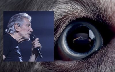 Roger Waters – A Time is megkapta a magáét