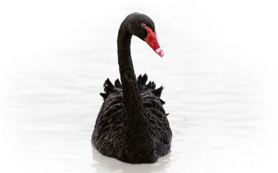 Mandoki Soulmates – Ez nem a Black Swan új lemeze!