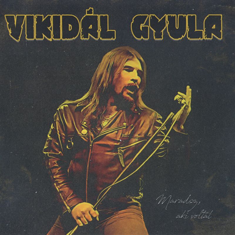 Vikidál Gyula: Maradsz, aki voltál