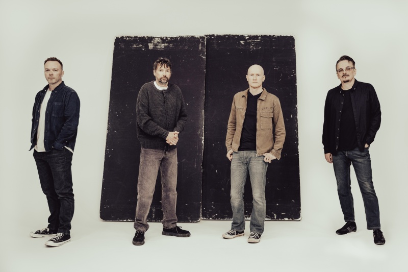 The Pineapple Thief
